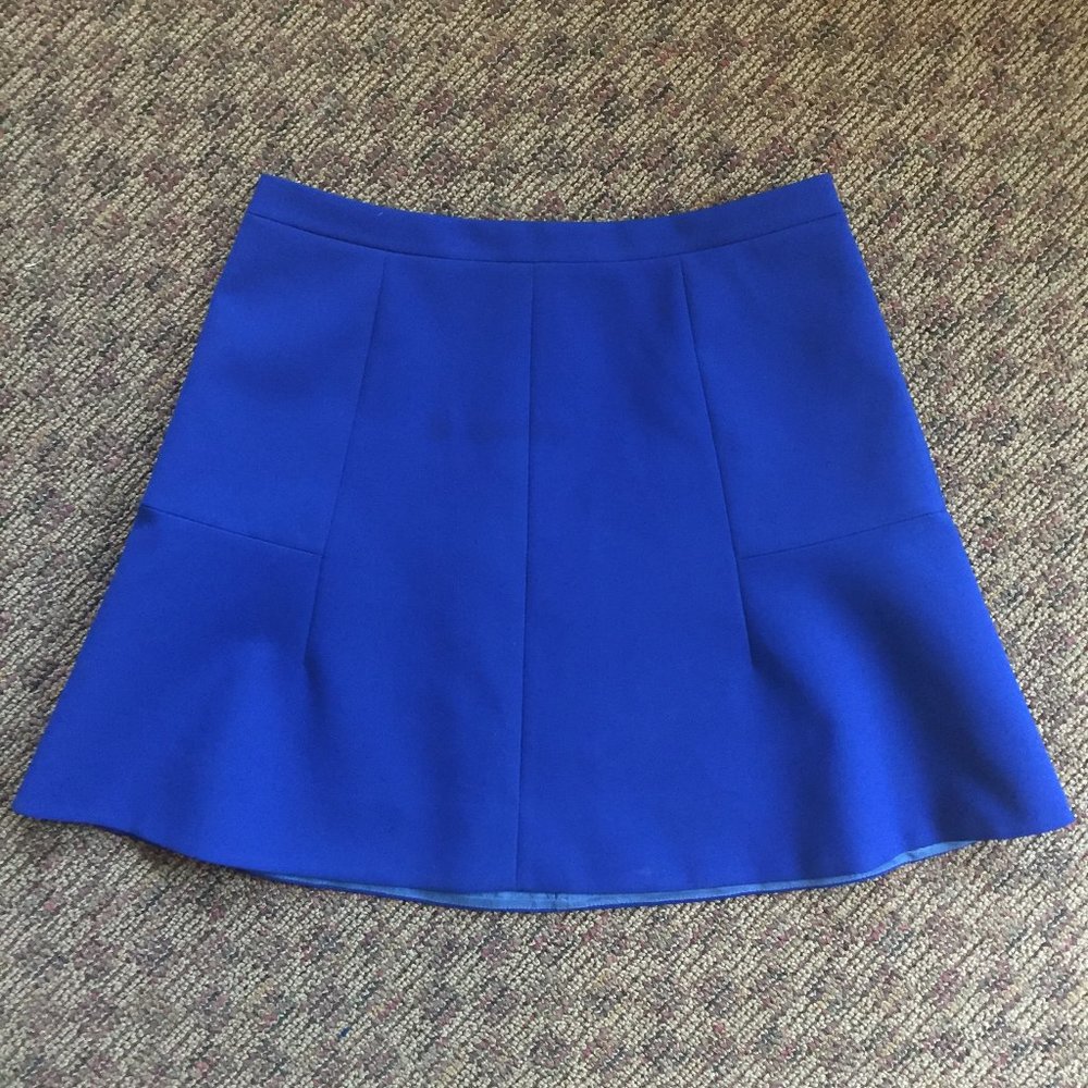 J Crew Skirt
